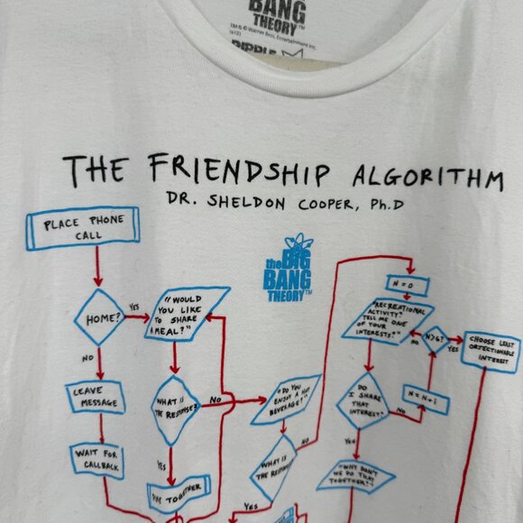Big Bang Theory The Friendship Algorithm T Shirt Size Large - Picture 3 of 8